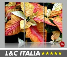 Croton - 3 QUADRI MODERNI