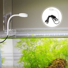  Aquatic Plant Lighting Luce