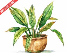  Aspidistra Pianta in Ghisa in