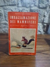 Renzo Ragionieri
