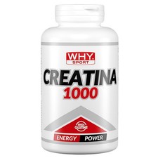 WHY SPORT CREATINA 1000 240