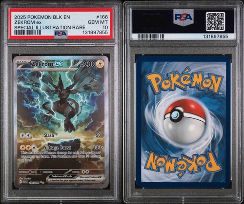 2025 pokemon black - pokemon,