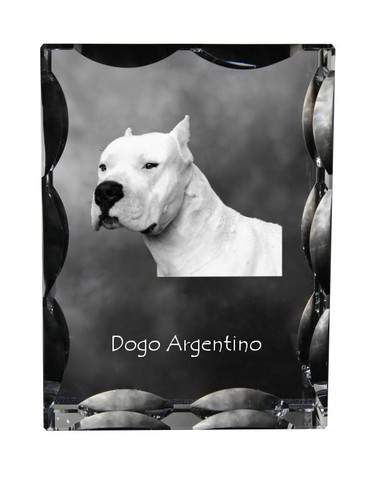 Dogo argentino crystal with - argentino,