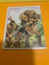 FIGURINA N.304 ANIMALI