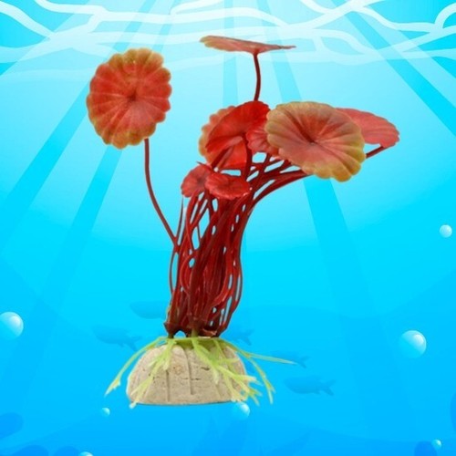 Pianta per acquario