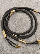 Cavo altoparlante Ayon Audio