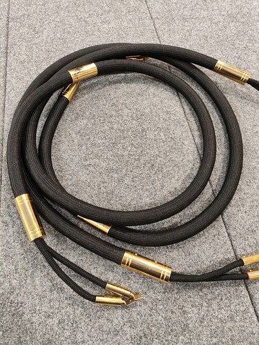 Ayon audio dragon cavo - dragon,