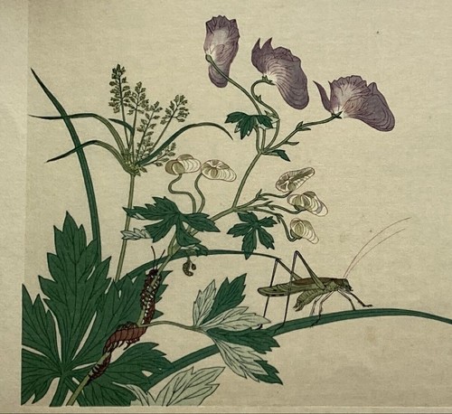 Kitagawa utamaro xilografia - kitagawa,