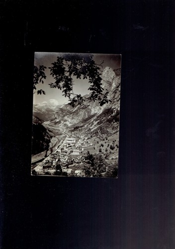 Timau carnia - timau,