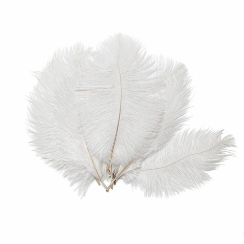 Piume struzzo bianche - di,