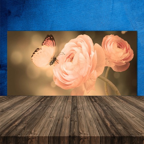 Splashback paraschizzi - splashback,