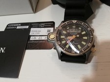 Citizen Aqualand Promaster