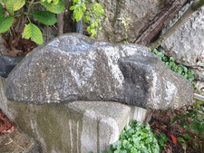 Suiseki magmatica (porfido