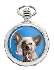 Orologio da tasca cane