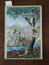 Dalla roccia alla pianta -