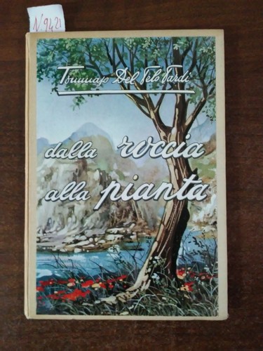 Dalla roccia alla pianta - ,