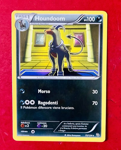 Lotto carte pokémon houndoom - carte,