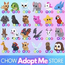 Uovo per animali domestici