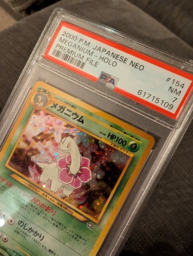 Pokemon tcg meganium premium - pokemon,