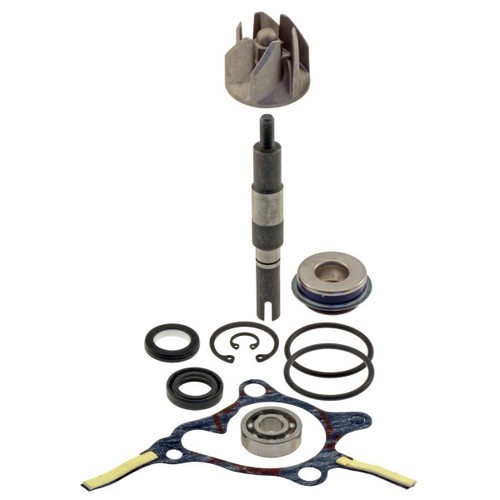 Kit revisione pompa acqua - , rms