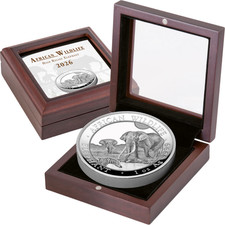 Somalia 100 Sh. 2026 Elefante