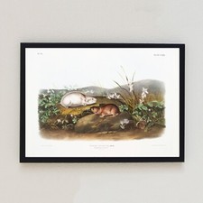 Stampa artistica decorazione