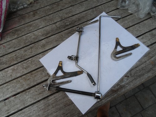 Gen anni campagnolo - gen,
