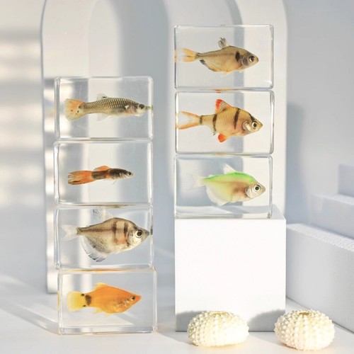 Mini pesce marino - 1x, granchio