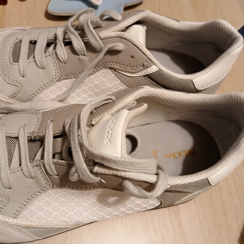 Scarpe uomo geox - scarpe, 43
