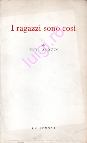 Ragazzi sono così guy - sono,