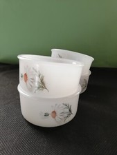 ARCOPAL FRANCE 1 ciotolina 8x4