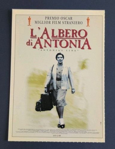 Cartolina cinema ciak - cinema,