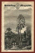 The Saturday Magazine N. 152 Talapat Palm Spanish Wine store Warwick St. Mary's