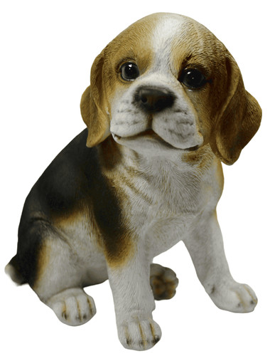 Dolcissimo cagnolino - cagnolino, x