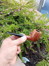 Pipa Amorelli ** 2 Stelle Made