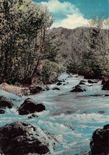 Postcard S. Stefano d' Aveto