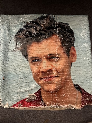 Harry styles cuscino finta - cuscino,