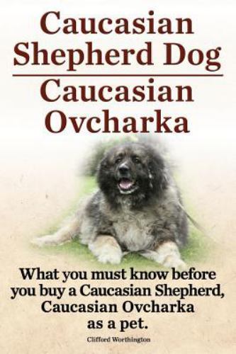 Caucasian shepherd dog - shepherd,