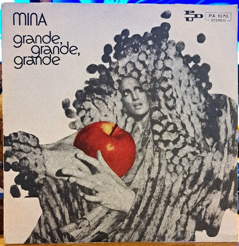 Disco vinile giri mina - 45,