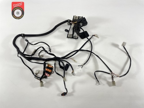 Cablaggio motore ktm - cablaggio,