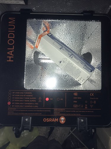 Faro esterno osram - 250,