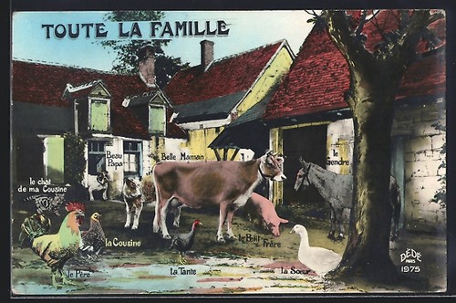 Cartolina mucca con resto - cartolina, il