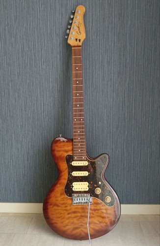 Chitarra elettrica godin - elettrica,