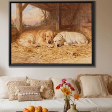 Golden Retriever Labrador Oil
