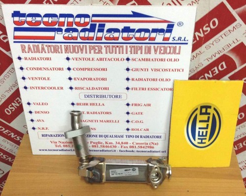 Scambiatore egr bmw - bmw, e83