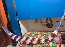 Vendo Amaca brasiliana