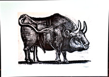 Pablo Picasso - Le Taureau - 70x50 cm edizione limitata n. 85/200