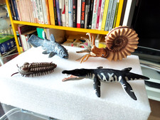 Set Dinosauri Marini 4 pezzi : LIOPLEURODON + AMMONITE + CELACANTO + TRILOBITE 