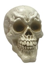 CARNEVALE HALLOWEEN TESCHIO