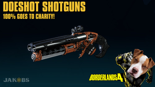 Lvl borderlands fucili - lvl, 4